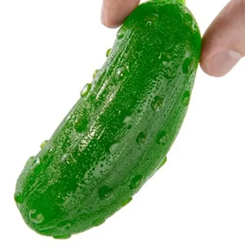 Dumpster Dill