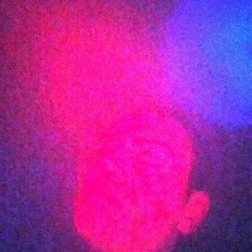 Volast