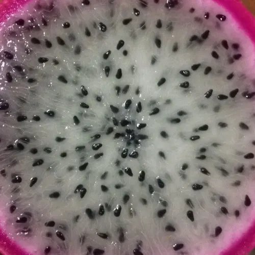 Acquarica
