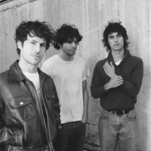 Wallows