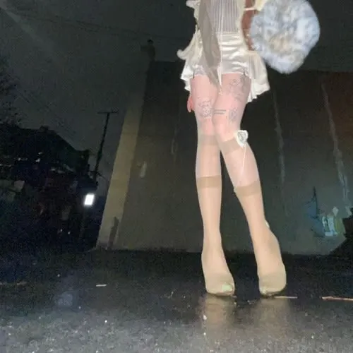 dustbunny