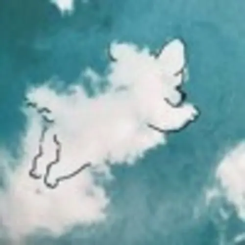 ANIMA