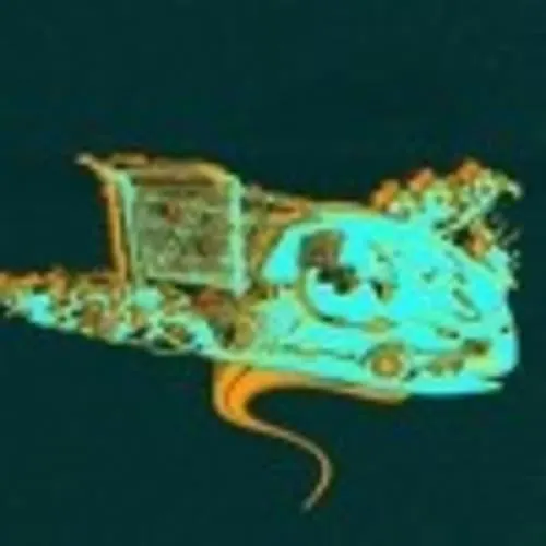 Fébus