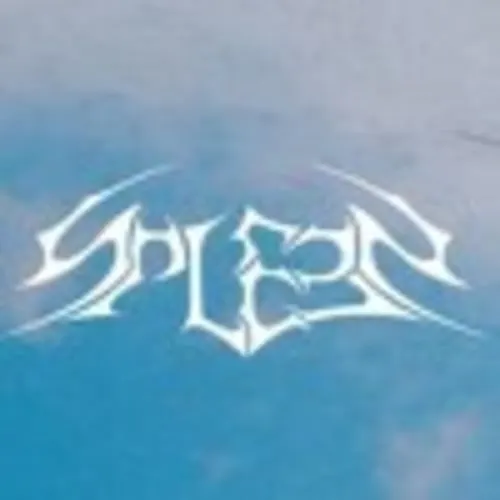 SPLEEN