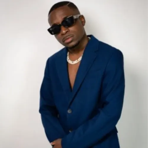 Abelha Afrozone