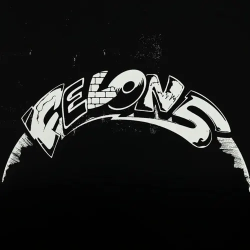 Felon5
