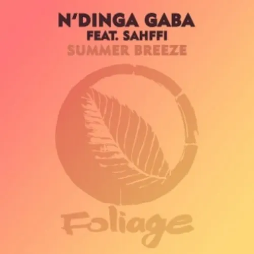 N'dinga Gaba