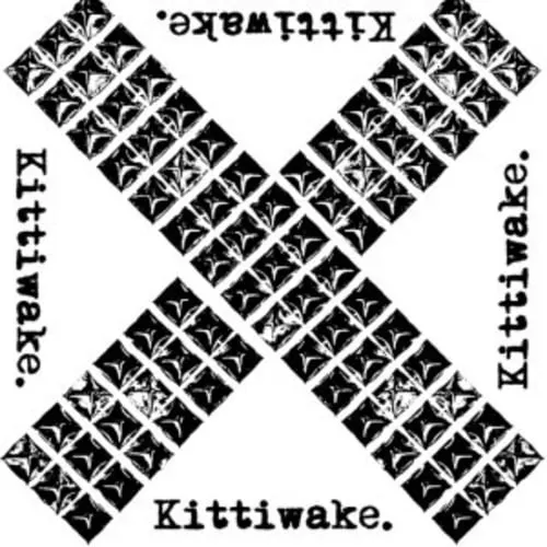 Kittiwake.