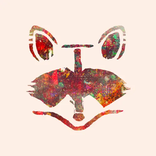 Rakoon