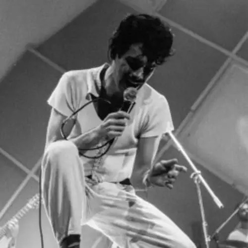 Zé Ibarra