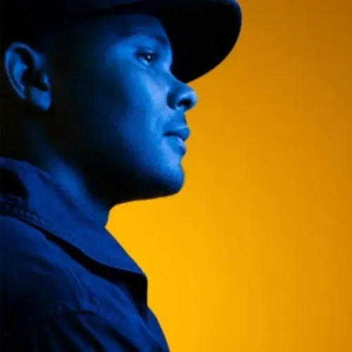 Walshy Fire