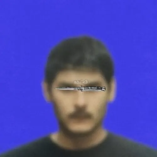 Verraco