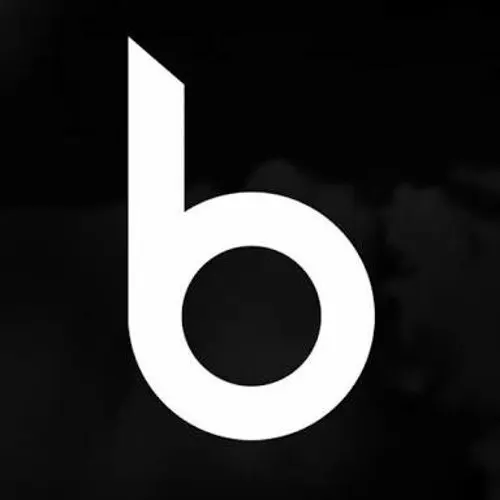 BiBeroN