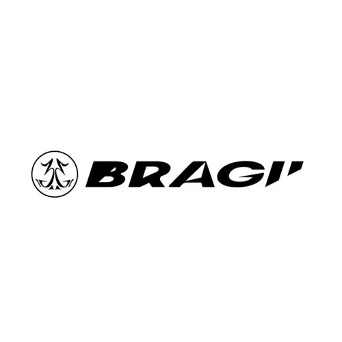 Bragii