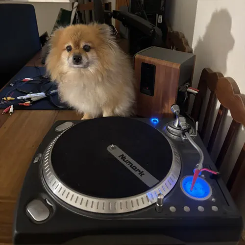dj amo minha namorada