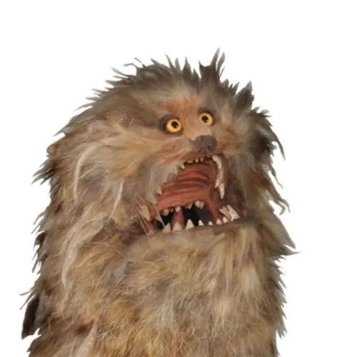 Dr Fizzgig
