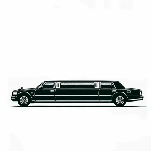 Japanese Limo Boys