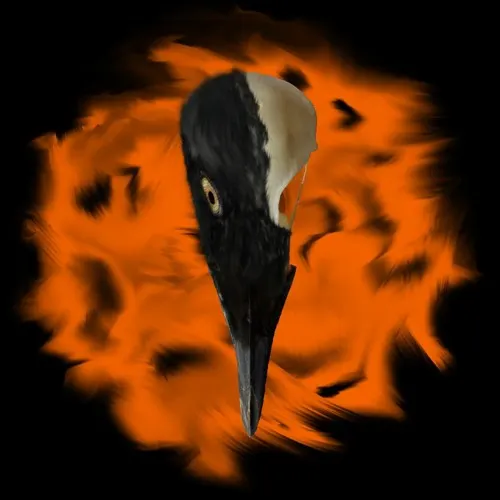 𝕶𝖊𝖑𝖊𝖘𝖙 𝕸𝖔𝖓𝖓𝖔𝖒 (Quel est mon nom?)