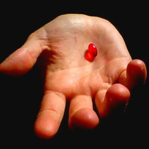 RedPill Music Live