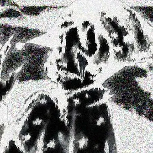 Seyyn
