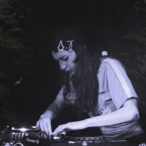 dj zigzag