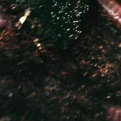 WURM