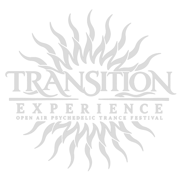 TRANSITION EXPERIENCE - SPAIN