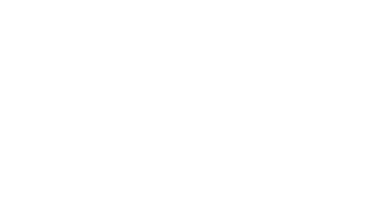 Le Brise Glace