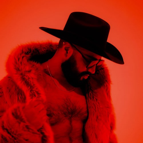 Acid Cowboy