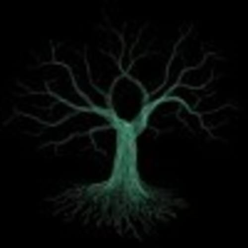 Virtual Forest Records