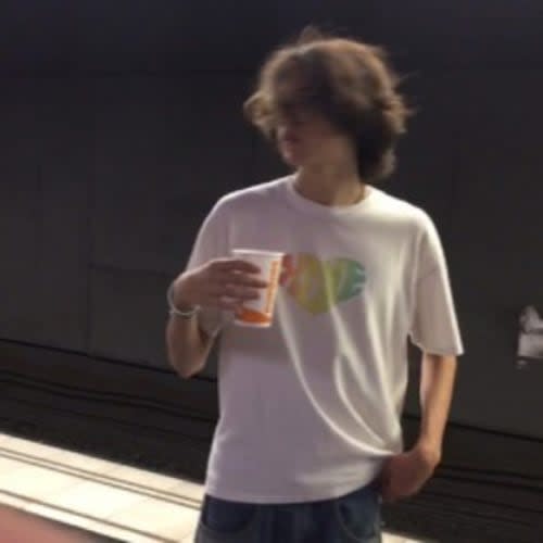 pedroml