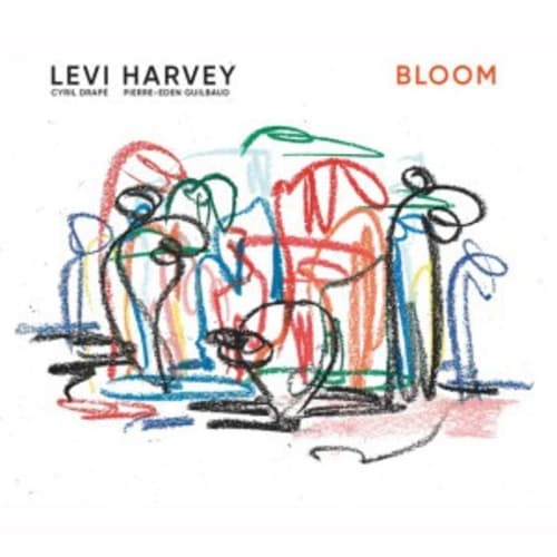 Levi Harvey