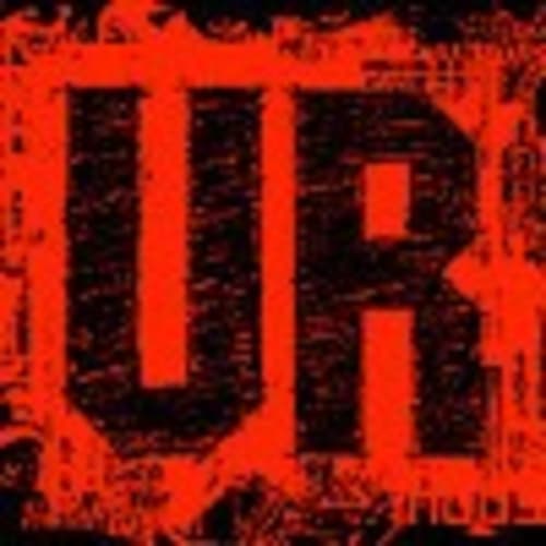UR313