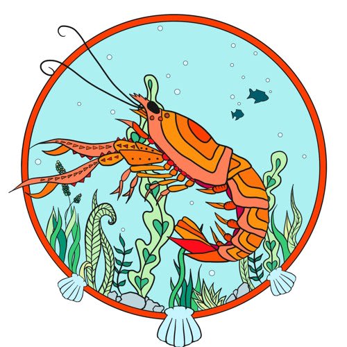 Langoustine