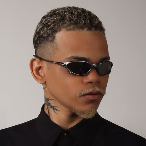 rotisgo