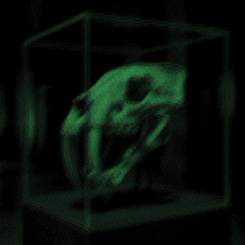 GREEED Music