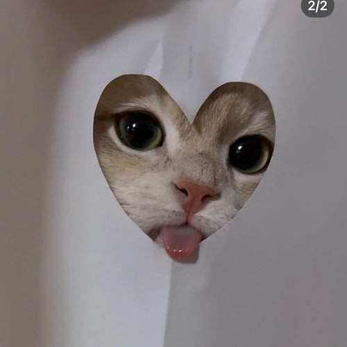 byelesli