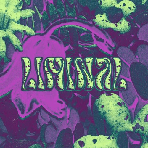 Liminal Collective