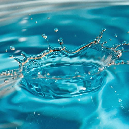 splash! // Liquid J