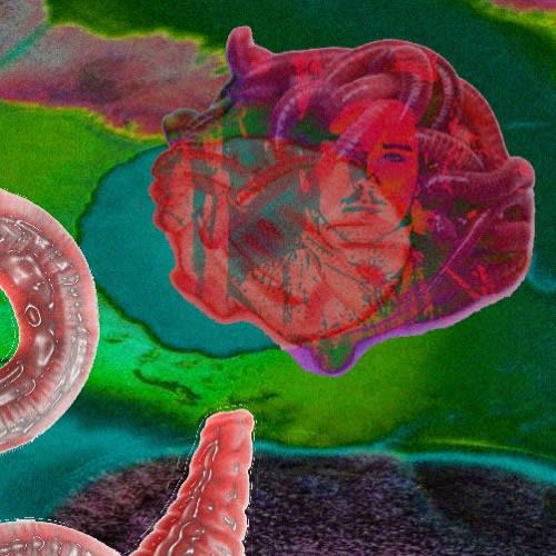 dj got worms