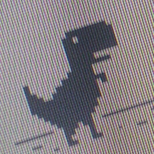 DINO NYDO