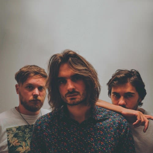 Paranoid Waves