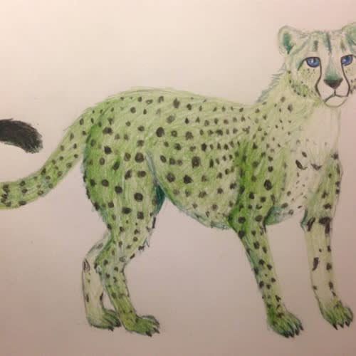 GreenCheetaz