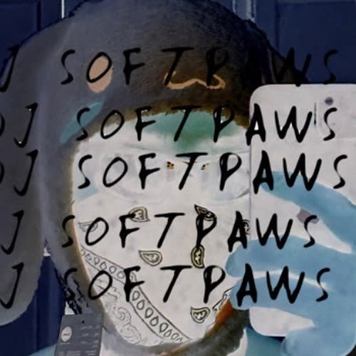 DJ SOFTPAWS.LK