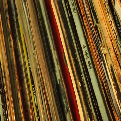 Soil Records