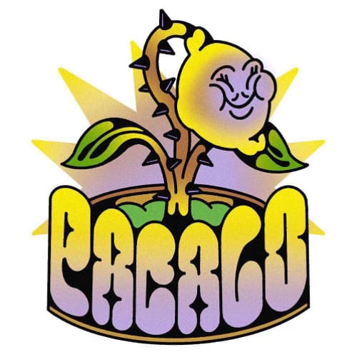 Pacalo Record