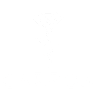 Carbon Chicago