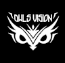 Owls Vision