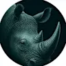 The Rhinos Club