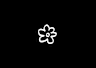 The Lemon Flowers